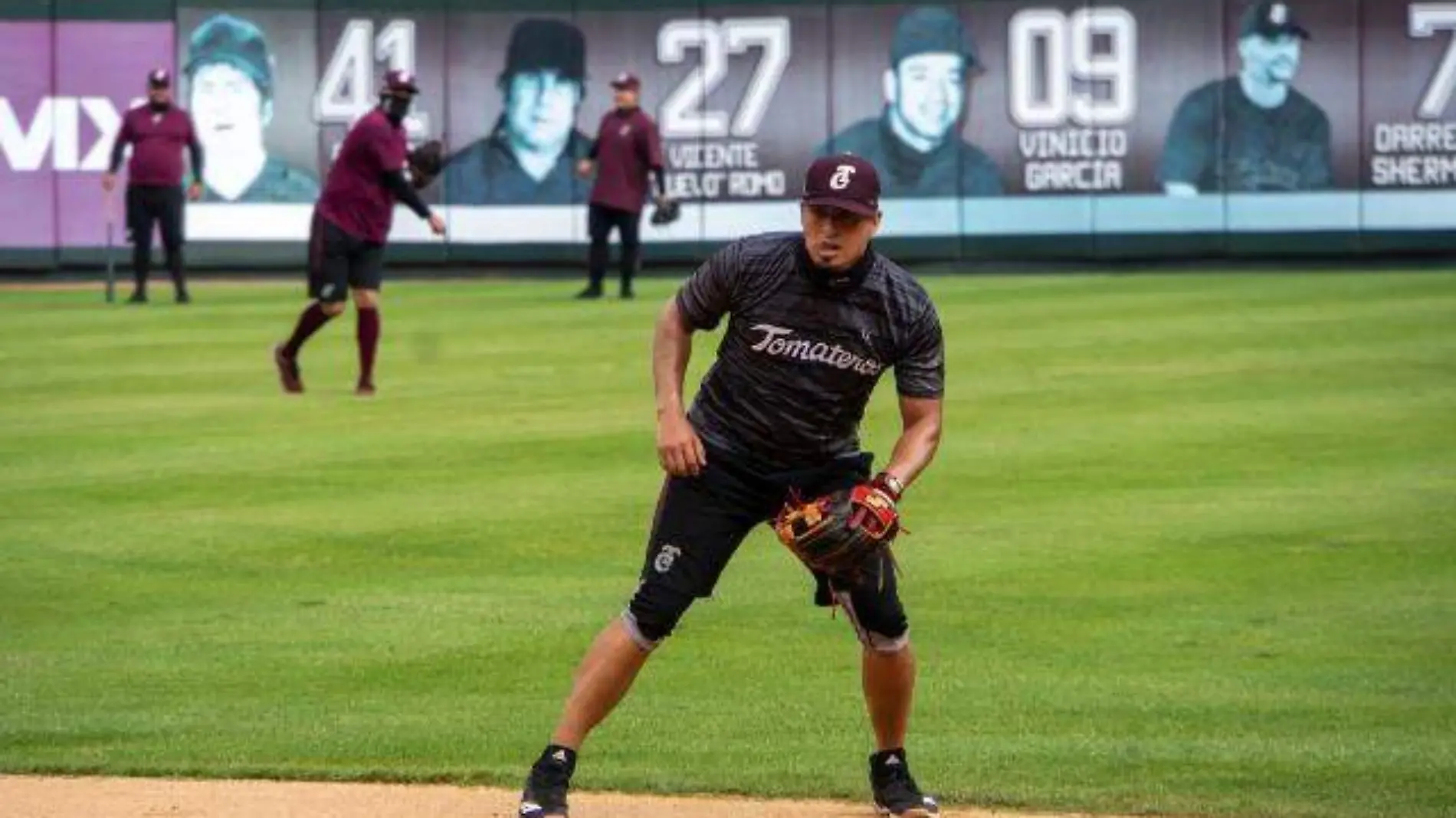 TOMATEROS UNO